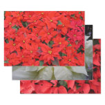 Red Poinsettias I Christmas Holiday Floral Photo Wrapping Paper Sheets