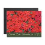 Red Poinsettias I Christmas Holiday Save the Date  Magnetic Invitation