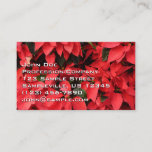 Red Poinsettias II Christmas Holiday Floral Business Card