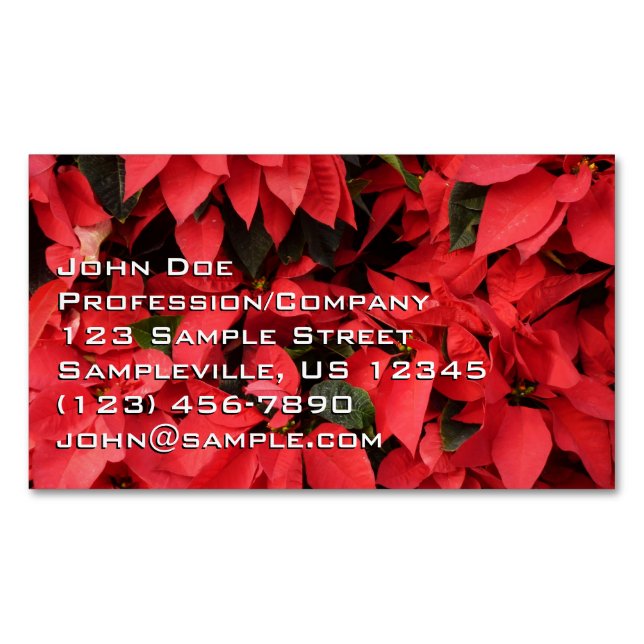 Red Poinsettias II Christmas Holiday Floral Business Card Magnet (Front)
