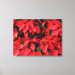 Red Poinsettias II Christmas Holiday Floral Canvas Print