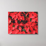 Red Poinsettias II Christmas Holiday Floral Canvas Print