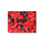 Red Poinsettias II Christmas Holiday Floral Canvas Print