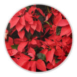 Red Poinsettias II Christmas Holiday Floral Ceramic Knob