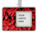 Red Poinsettias II Christmas Holiday Floral Christmas Ornament