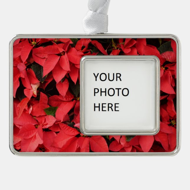 Red Poinsettias II Christmas Holiday Floral Christmas Ornament (Front)