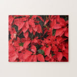 Red Poinsettias II Christmas Holiday Floral Jigsaw Puzzle