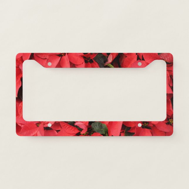 Red Poinsettias II Christmas Holiday Floral License Plate Frame (Front)