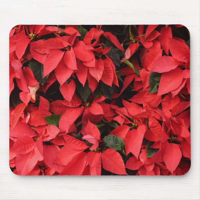 Red Poinsettias II Christmas Holiday Floral Mouse Pad (Front)
