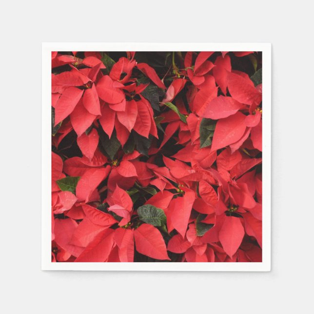 Red Poinsettias II Christmas Holiday Floral Napkins (Front)