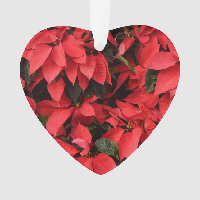 Red Poinsettias II Christmas Holiday Floral Ornament (Front)