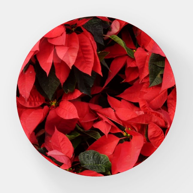 Red Poinsettias II Christmas Holiday Floral Paperweight (Front)