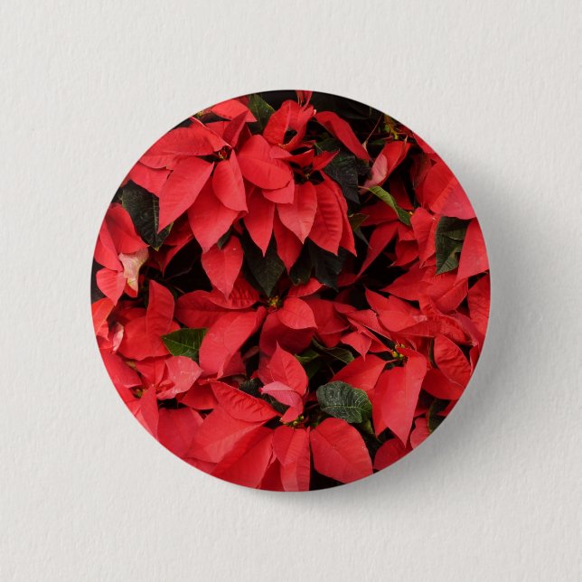Red Poinsettias II Christmas Holiday Floral Pinback Button (Front)