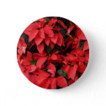 Red Poinsettias II Christmas Holiday Floral Pinback Button