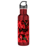Red Poinsettias II Christmas Holiday Floral Stainless Steel Water Bottle