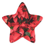 Red Poinsettias II Christmas Holiday Floral Star Sticker