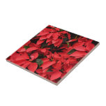 Red Poinsettias II Christmas Holiday Floral Tile