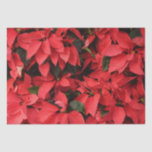Red Poinsettias II Christmas Holiday Floral Tissue Paper