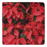 Red Poinsettias II Christmas Holiday Floral Trivet