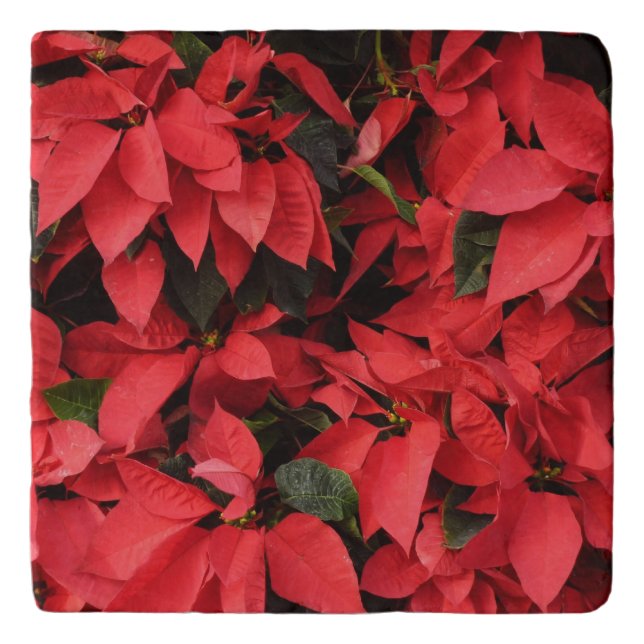Red Poinsettias II Christmas Holiday Floral Trivet (Front)