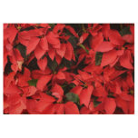 Red Poinsettias II Christmas Holiday Floral Wood Poster