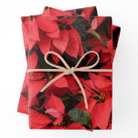 Red Poinsettias II Christmas Holiday Floral Wrapping Paper Sheets