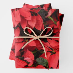 Red Poinsettias II Christmas Holiday Floral Wrapping Paper Sheets