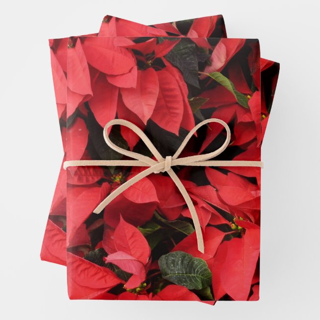 Red Poinsettias II Christmas Holiday Floral Wrapping Paper Sheets (In situ)