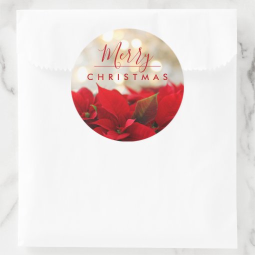 Red Poinsettias Merry Christmas Bokeh Lights Classic Round Sticker Zazzle