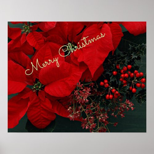 Red Poinsettias Merry Christmas Poster