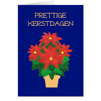 Red Poinsettias on Blue Dutch Language Greeting Cards
