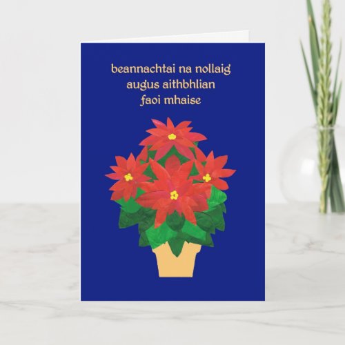 Red Poinsettias on Blue Irish Language Greeting Holiday Card