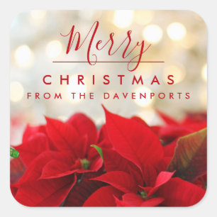 Red Poinsettias with Golden Bokeh Christmas Square Sticker