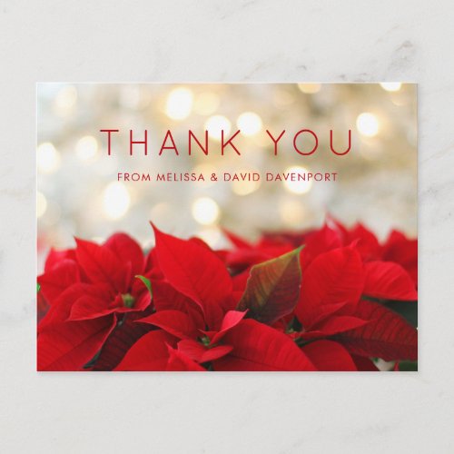 Red Poinsettias with Golden Bokeh Christmas Thanks Postcard