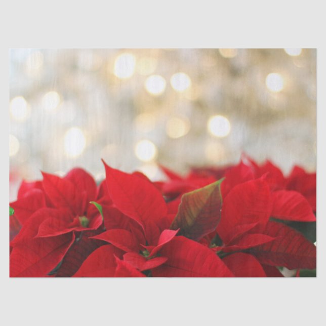 Red Poinsettias with Shimmering Golden Lights Tissue Paper (Front)