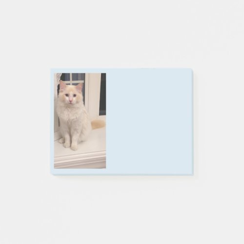 Red Point Ragdoll Cat Post It Notes