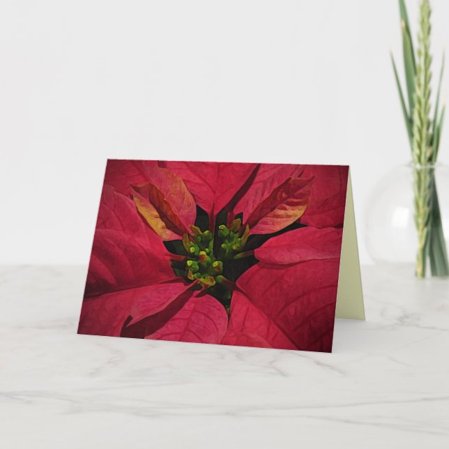Red Pointsettia Holiday Card (Front)