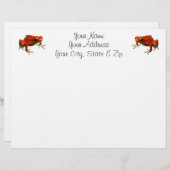 Red Poison Dart Frog (Front/Back)