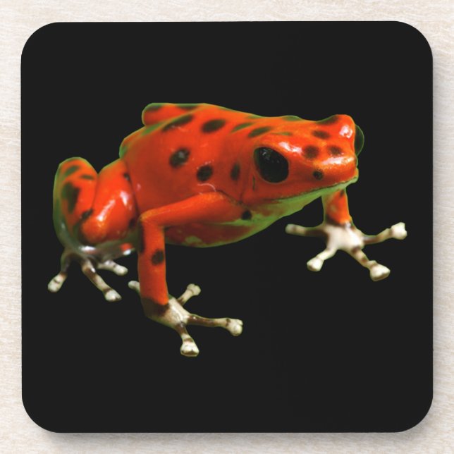 Red Poison Dart Frog Beverage Coaster (Front)