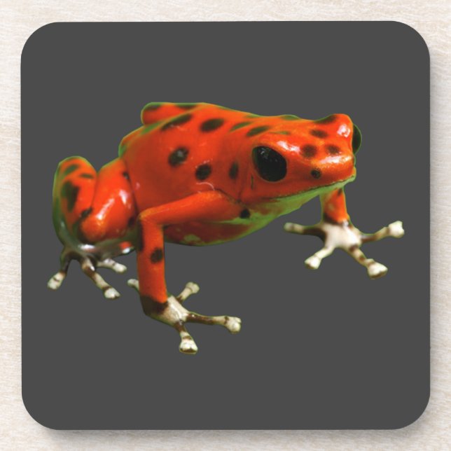 Red Poison Dart Frog Beverage Coaster (Front)