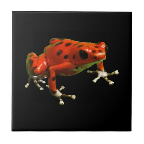 Red Poison Dart Frog Ceramic Tile