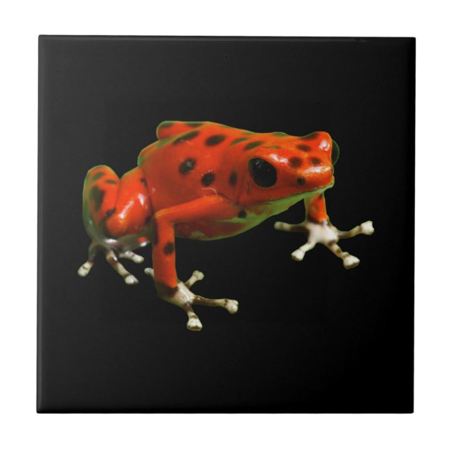 Red Poison Dart Frog Ceramic Tile (Front)