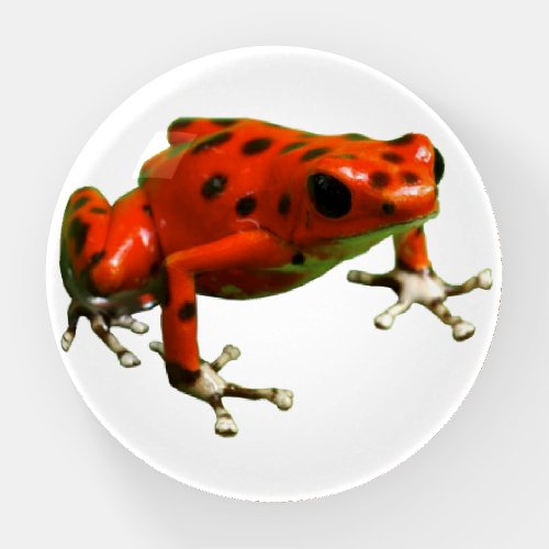 Red Poison Dart Frog Paperweight
