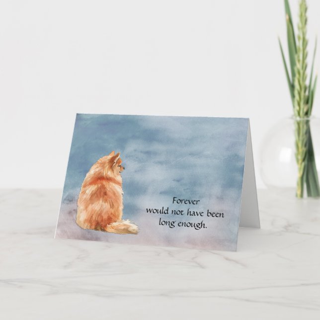 Red Pomeranian Dog Condolence Sympathy Card (Front)