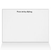 Red Poppies (Inside Horizontal (Top))