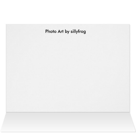 Red Poppies (Inside Horizontal (Top))