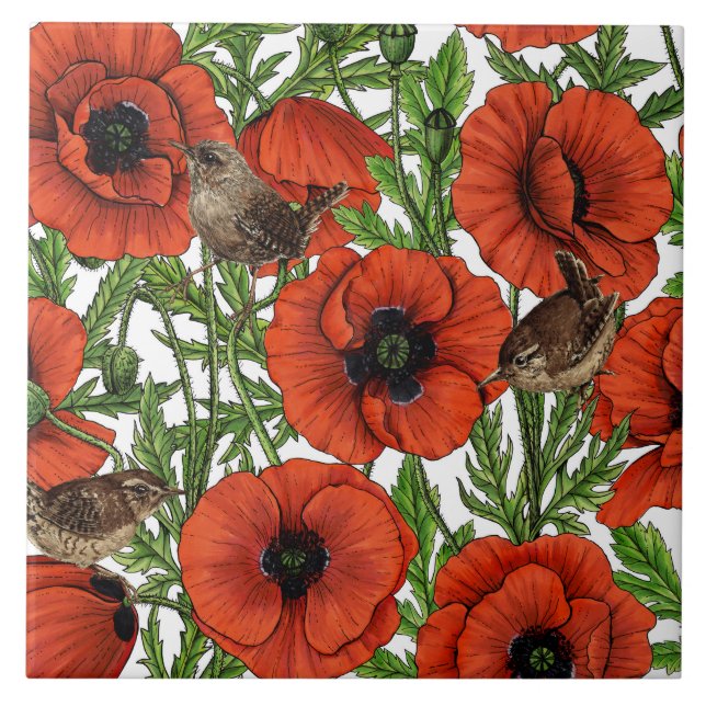 Red poppies and wrens, green leaves on white ceramic tile (Front)