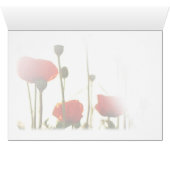 Red Poppies at Sunset (Inside Horizontal (Bottom))