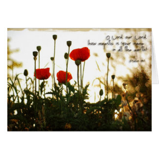 Red Poppies at Sunset Cards