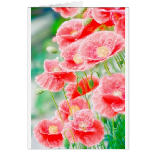 Red Poppies Cards (Front)